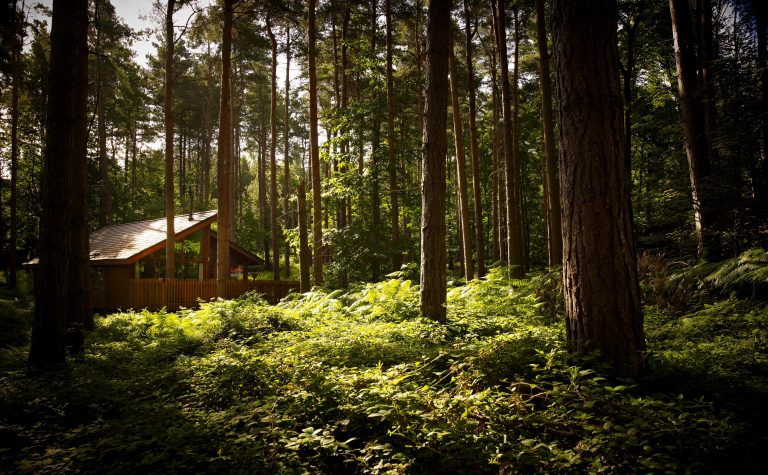 Derbyshire-headquartered Forest Holidays merges with Sykes Holiday Cottages