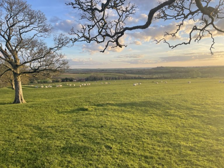 Leicestershire farm sells carbon credits to top F1 team