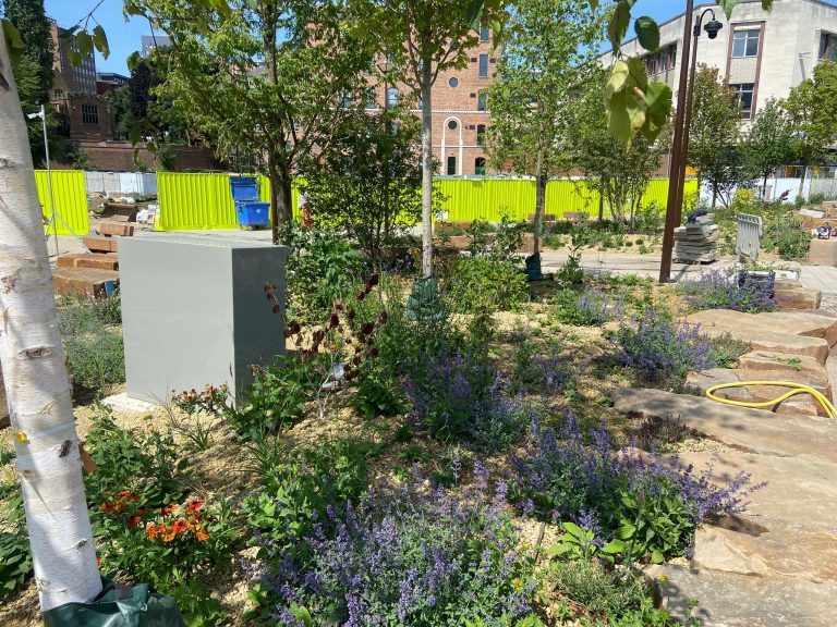 Derelict Nottingham shopping centre site undergoes green transformation