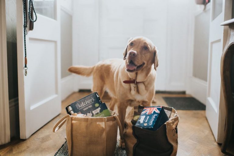 Pet food brand acquired following £43m funding package