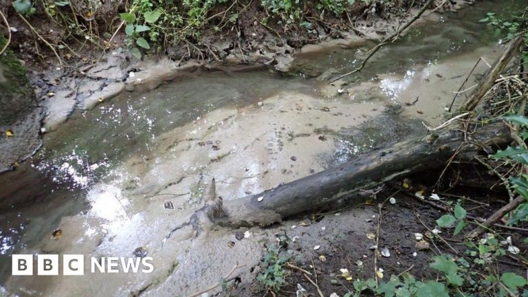 Severn Trent Water gives £600k to Trent Rivers Trust after pollution incident